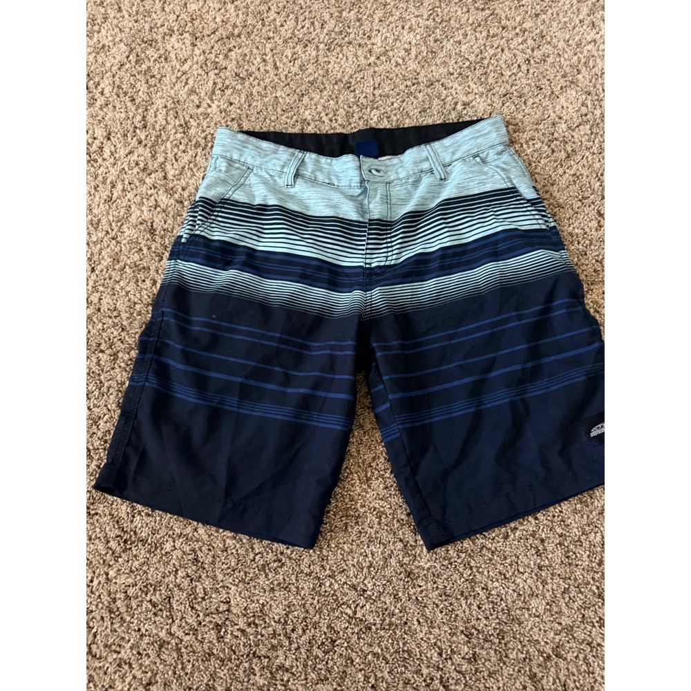 Pipeline Mens Blue Striped Board Shorts Hybrid Swim Trunks Size 32